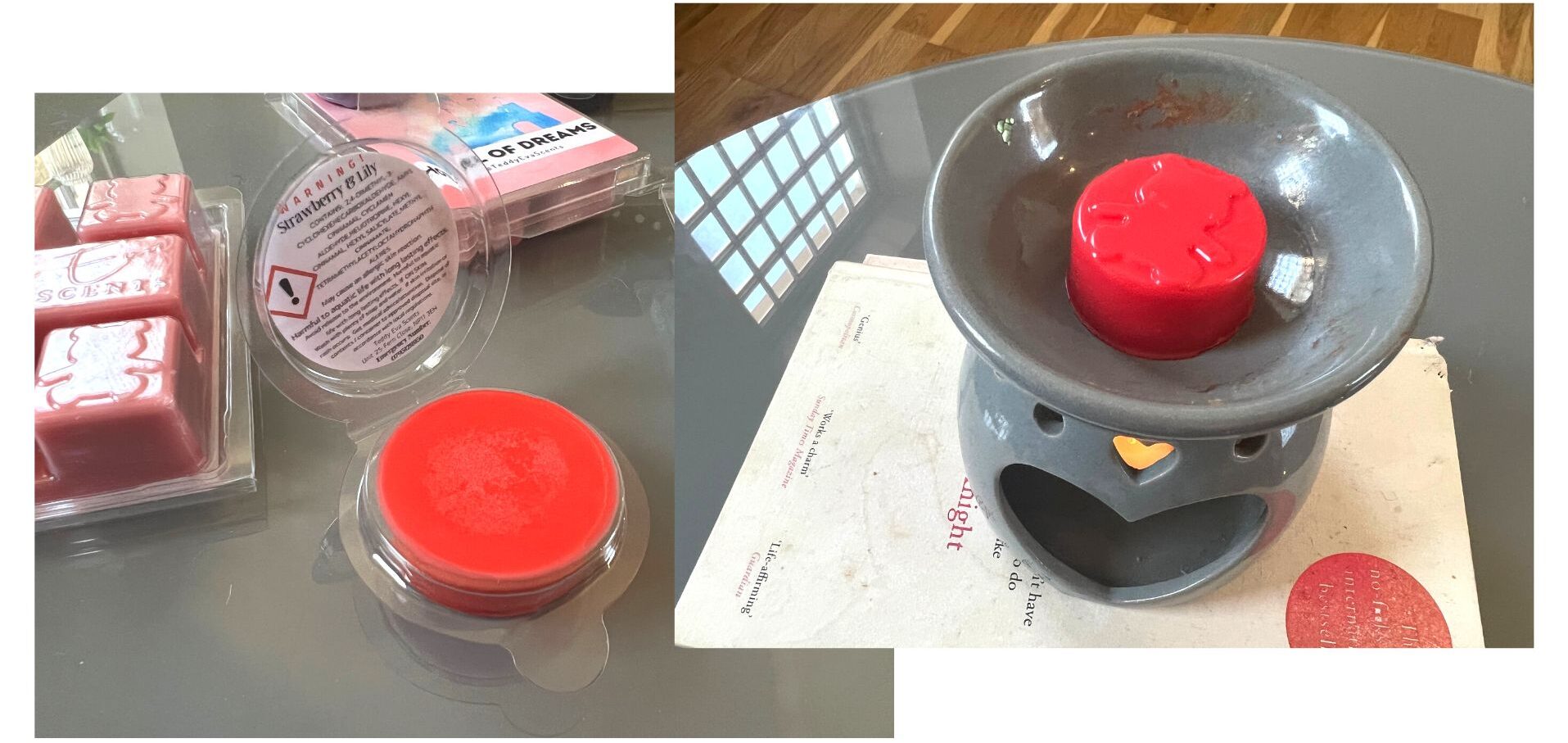 Teddy Eva Wax Melt