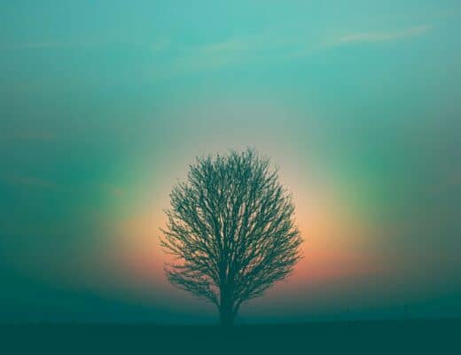 spirit