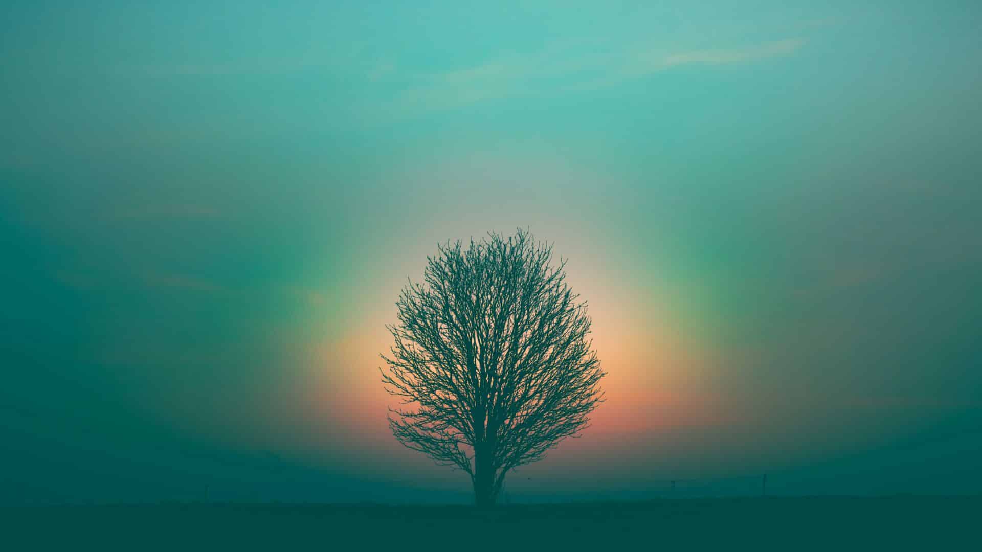 spirit